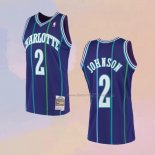 Men's Charlotte Hornets Larry Johnson NO 2 Mitchell & Ness 1994-95 Purple Jersey