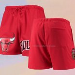Chicago Bulls Pro Standard Mesh Capsule Red Shorts